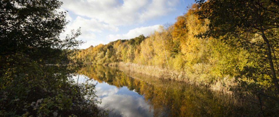 Lancement d’une application pour (re)découvrir les forêts franciliennes