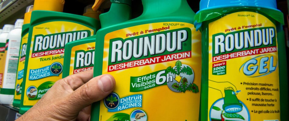 Double jeu du gouvernement sur l’interdiction du glyphosate