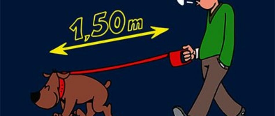 Nouvelles règles pour les chiens à Nogent-sur-Marne