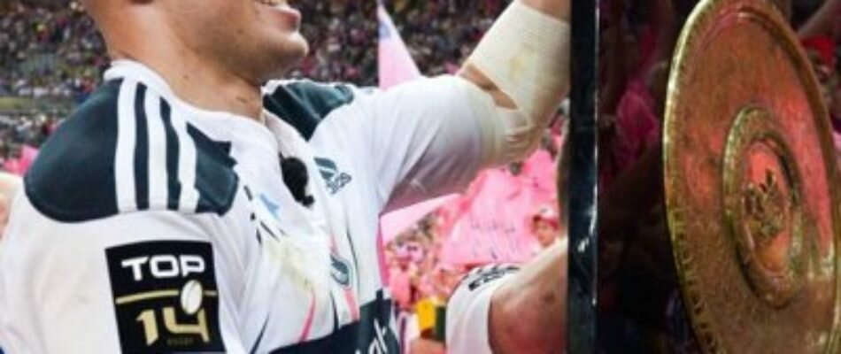 Suspendu à Perpignan: Sergio Parisse blanchi !
