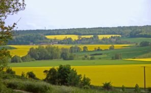 Les “pays”: la Brie