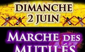 Gilets Jaunes: une marche pour les “mutilés”