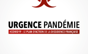 Face au Covid-19, le plan de la Dissidence Française