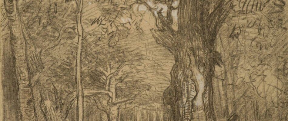 Expo&nbsp;: dessins français du XIXe siècle